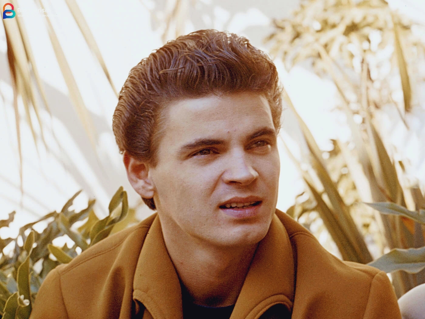 Don Everly: Age, Height, Net Worth, Biography and More: