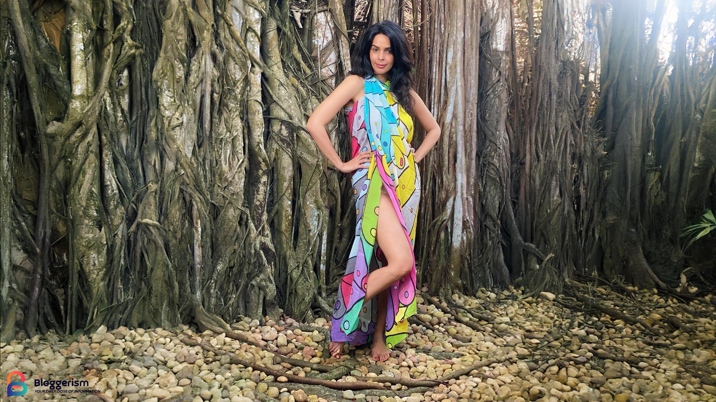 Mallika Sherawat: Age, Height, Biography (2024) and More: