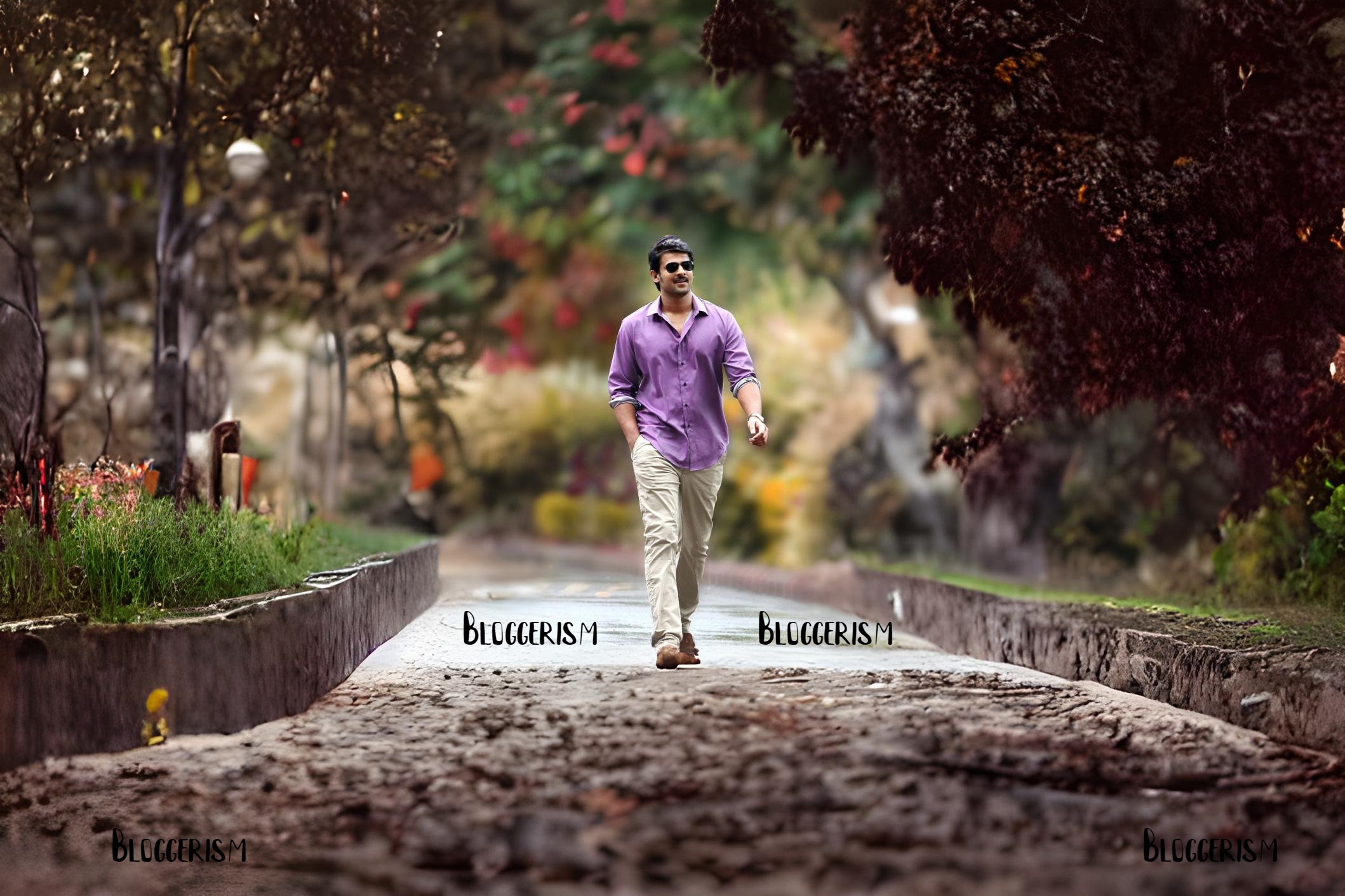 Prabhas: Age, Movies, Wife, Net Worth, Height, Education and More: