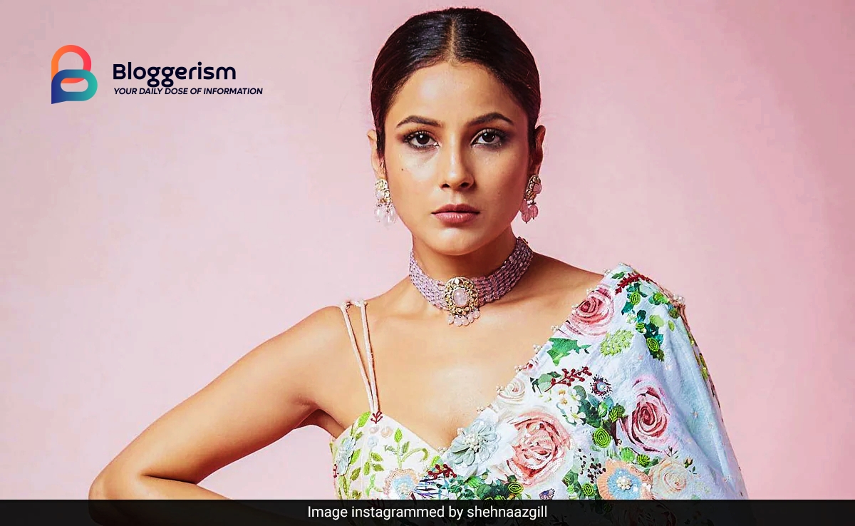 Shehnaaz Gill: Age, Height, Biography (2024) and More: