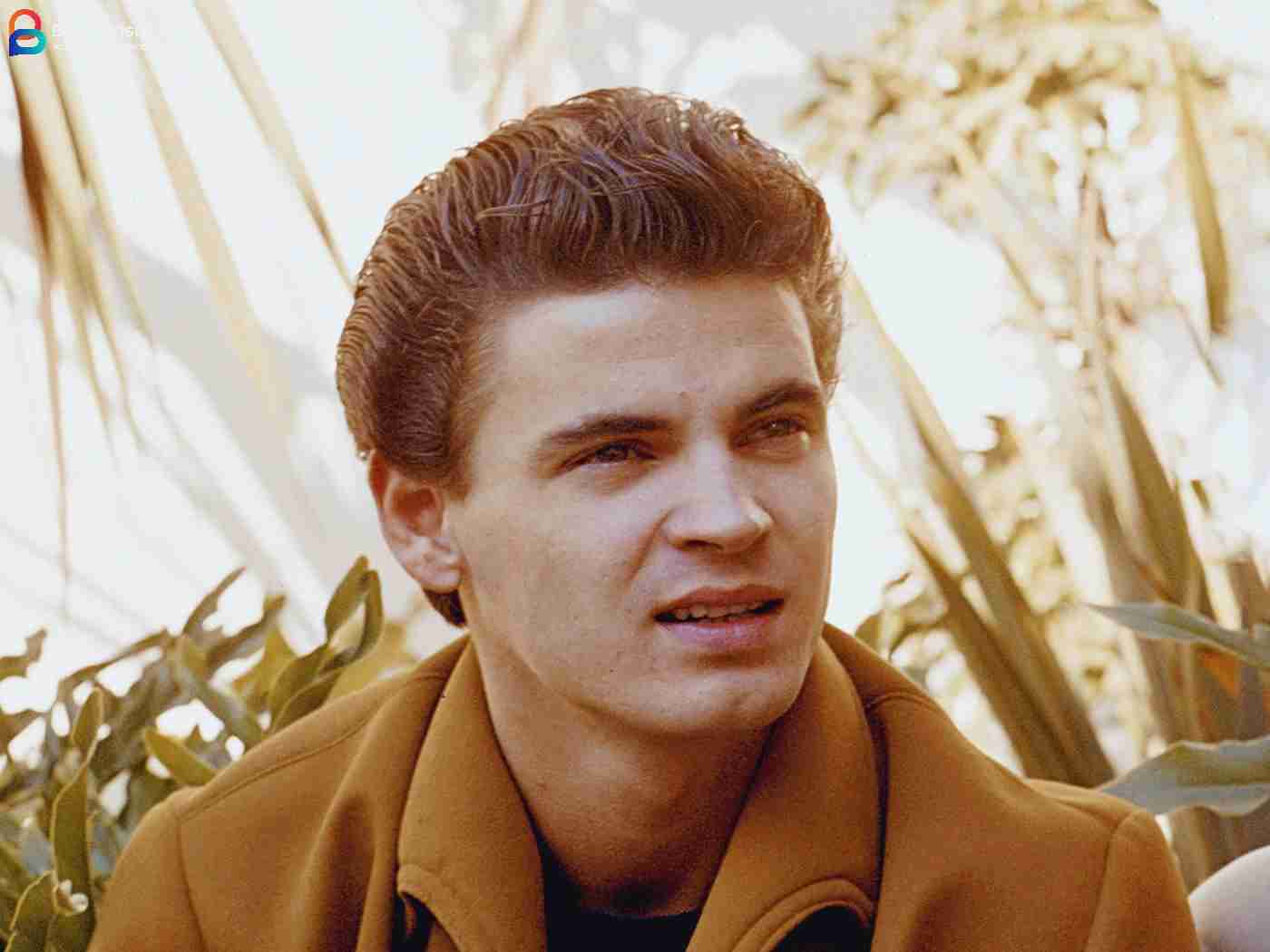 Don Everly: Age, Height, Net Worth, Biography and More: